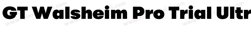 GT Walsheim Pro Trial Ultra Bold Re字体转换